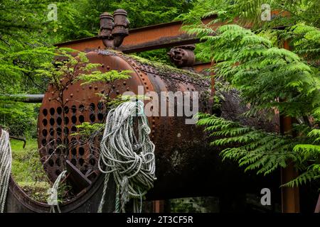 Alte und rostende Walverarbeitungsgeräte wurden an der alten Rose Harbour Walstation im Gwaii Haanas National Park Reserve, Haida Gwaii, br Stockfoto