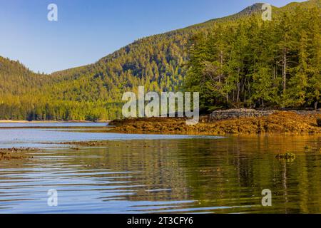Genießen Sie die Seescape an der alten Rose Harbour Waling Station im Gwaii Haanas National Park Reserve, Haida Gwaii, British Columbia, Kanada Stockfoto