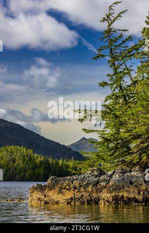 Strand in der Nähe von Burnaby Narrows im Gwaii Haanas National Park Reserve, Haida Gwaii, British Columbia, Kanada Stockfoto