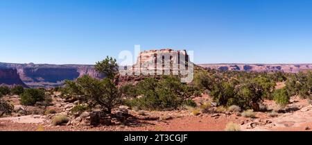 Panoramaaufnahme einer mesa in der Nähe von Cleopatra's Chair, einer großen, erodierten Sandsteinformation in der Glen Canyon National Recreation Area in der Nähe von Hanksville, W Stockfoto