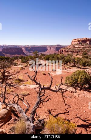 Foto einer mesa in der Nähe von Cleopatra's Chair, einer großen, erodierten Sandsteinformation in der Glen Canyon National Recreation Area, in der Nähe von Hanksville, Wayne Count Stockfoto