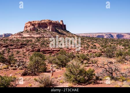 Foto einer mesa in der Nähe von Cleopatra's Chair, einer großen, erodierten Sandsteinformation in der Glen Canyon National Recreation Area, in der Nähe von Hanksville, Wayne Count Stockfoto