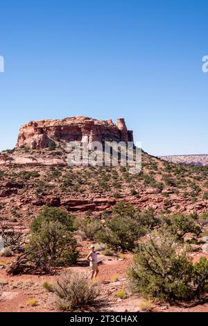 Foto einer mesa in der Nähe von Cleopatra's Chair, einer großen, erodierten Sandsteinformation in der Glen Canyon National Recreation Area, in der Nähe von Hanksville, Wayne Count Stockfoto