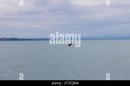 Katamaran in der Nähe von Konstanz mit Blick auf den Bodensee Stockfoto