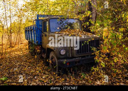 Ein alter rostiger Truck im goldenen Herbst. Stockfoto