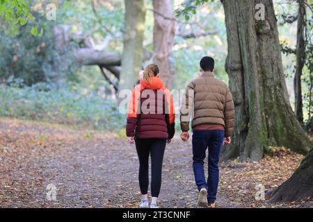 Oktoberwetter auf Hampstead Heath, im Norden Londons, Großbritannien Stockfoto