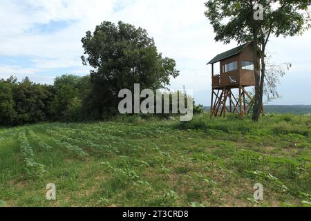 Hunters Stand, schlafende Kanzel am Rande des Feldes, Südungarn, Ungarn Stockfoto