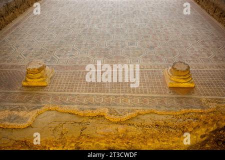 Römische Mosaike in der Villa Romana La Olmeda in der Nähe von Saldana im Nordwesten Spaniens Stockfoto