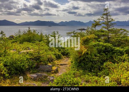 Pfad zur Cliff Pool Hot Spring auf Gandll K'in Gwaay.yaay, (auch bekannt als Hotspring Island), im Gwaii Haanas National Park Reserve, Haida Gwaii, British Columbia, Stockfoto