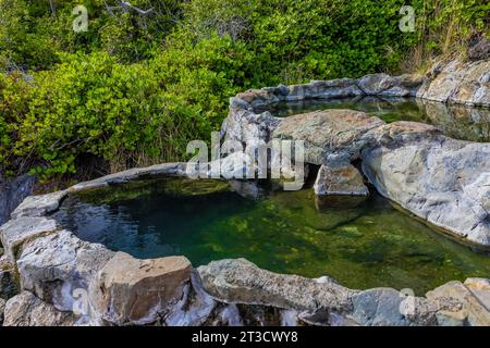 Heißer Pool zum Baden auf Gandll K'in Gwaay.yaay, (auch bekannt als Hotspring Island), im Gwaii Haanas National Park Reserve, Haida Gwaii, British Columbia, Kanada Stockfoto