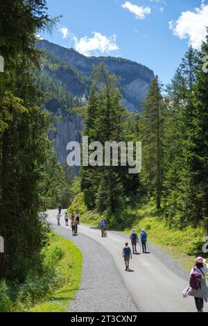 Kandersteg, Schweiz–Aug 3,2023: Wandergruppe in den Alpen mit Berg- und Kiefernwald Stockfoto