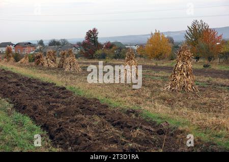 Ivano Frankivsk, Ukraine. Oktober 2023. IWANO-FRANKIWSK REGION, UKRAINE - 22. OKTOBER 2023 - die Kirche St. Michael der Erzengel im Dorf Kozyna, Region Iwano-Frankiwsk, Westukraine Credit: Ukrinform/Alamy Live News Stockfoto