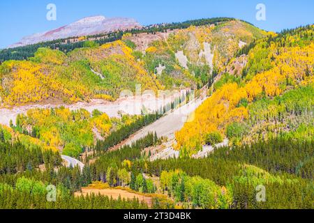 Herbstfarbe: Aspen Tree Laub wird gelb und orange auf dem US 550, dem „Million Dollar Highway“ in Colorado. Stockfoto