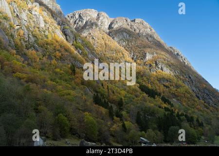 Buer, Buardalen Valley, Buarbreen, Gletscherarm von Folgefonna, Vestland, Norwegen Stockfoto