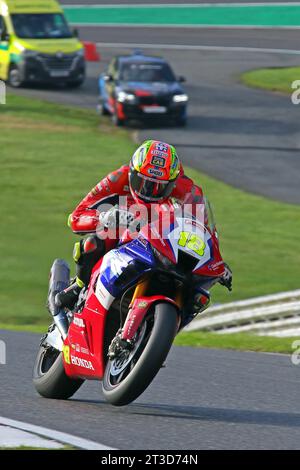 Andrew Irwin - Honda Racing UK - fuhr Honda 18 in den 2023 britischen Superbikes bei Brands Hatch im Oktober 2023 Stockfoto