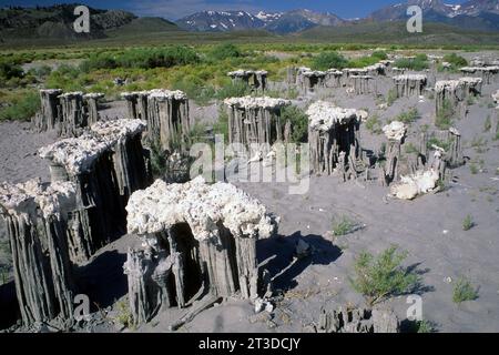 Sand Tuffstein am Mono Lake State Reserve, Mono Basin National Scenic Area, Marine Beach, California Stockfoto