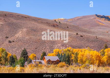 Herbstfarbe entlang des Colorado State Highway 135 zwischen Gunnison und Crested Butte. Stockfoto