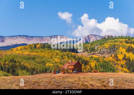 Viehzucht und Landwirtschaft in Colorado mit herbstlicher Farbe mit Aspens Wenden - mit Blick auf die Burgen (Berge) entlang der Ohio Pass Road. Stockfoto