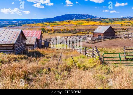 Viehzucht und Landwirtschaft in Colorado mit herbstlicher Farbe mit Aspens Wenden - mit Blick auf die Burgen (Berge) entlang der Ohio Pass Road zwischen Gunnison Stockfoto
