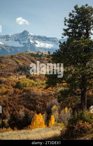 Legendärer Herbstblick von Colorado mit dem Berg Sneffels, der von einer kleinen Wolke im Hintergrund gekrönt wird Stockfoto