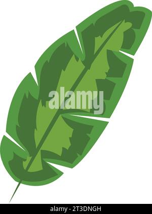 Palmblatt isoliert Stock Vektor