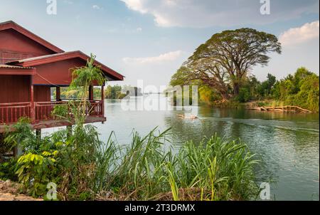 Flussboot Richtung flussaufwärts, nahe Sonnenuntergang, traditionelle laotische Hütte auf Stelzen im Vordergrund, schöner Baum, der den Mekong in warmer, weicher Long überhängt Stockfoto