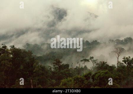 Landschaft eines Regenwaldgebietes am Fuße des Mount Tangkoko und Duasudara (Dua Saudara) in Bitung, Nord-Sulawesi, Indonesien. Ein neuer Bericht der Wildlife Conservation Society hat ergeben, dass tropische Wälder mit hoher Integrität schätzungsweise rund 3,6 Milliarden Tonnen CO2 pro Jahr (netto) aus der Atmosphäre entfernen und speichern. doch um sie zu schützen, müssen die Stakeholder die großen Fruchtfresser retten. großkörperige Wildtierarten, insbesondere Fruchtfresser wie Primaten, Nashornvögel und andere, verteilen laut den Wissenschaftlern große Samen von Baumarten mit hoher Kohlenstoffkapazität. Stockfoto