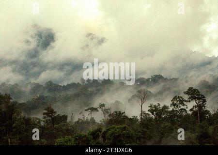 Landschaft eines Regenwaldgebietes am Fuße des Mount Tangkoko und Duasudara (Dua Saudara) in Bitung, Nord-Sulawesi, Indonesien. Ein neuer Bericht der Wildlife Conservation Society hat ergeben, dass tropische Wälder mit hoher Integrität schätzungsweise rund 3,6 Milliarden Tonnen CO2 pro Jahr (netto) aus der Atmosphäre entfernen und speichern. doch um sie zu schützen, müssen die Stakeholder die großen Fruchtfresser retten. großkörperige Wildtierarten, insbesondere Fruchtfresser wie Primaten, Nashornvögel und andere, verteilen laut den Wissenschaftlern große Samen von Baumarten mit hoher Kohlenstoffkapazität. Stockfoto