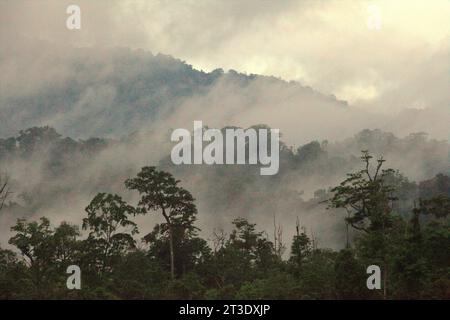 Landschaft eines Regenwaldgebietes am Fuße des Mount Tangkoko und Duasudara (Dua Saudara) in Bitung, Nord-Sulawesi, Indonesien. Ein neuer Bericht der Wildlife Conservation Society hat ergeben, dass tropische Wälder mit hoher Integrität schätzungsweise rund 3,6 Milliarden Tonnen CO2 pro Jahr (netto) aus der Atmosphäre entfernen und speichern. doch um sie zu schützen, müssen die Stakeholder die großen Fruchtfresser retten. großkörperige Wildtierarten, insbesondere Fruchtfresser wie Primaten, Nashornvögel und andere, verteilen laut den Wissenschaftlern große Samen von Baumarten mit hoher Kohlenstoffkapazität. Stockfoto