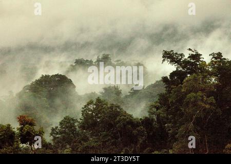 Landschaft eines Regenwaldgebietes am Fuße des Mount Tangkoko und Duasudara (Dua Saudara) in Bitung, Nord-Sulawesi, Indonesien. Ein neuer Bericht der Wildlife Conservation Society hat ergeben, dass tropische Wälder mit hoher Integrität schätzungsweise rund 3,6 Milliarden Tonnen CO2 pro Jahr (netto) aus der Atmosphäre entfernen und speichern. doch um sie zu schützen, müssen die Stakeholder die großen Fruchtfresser retten. großkörperige Wildtierarten, insbesondere Fruchtfresser wie Primaten, Nashornvögel und andere, verteilen laut den Wissenschaftlern große Samen von Baumarten mit hoher Kohlenstoffkapazität. Stockfoto