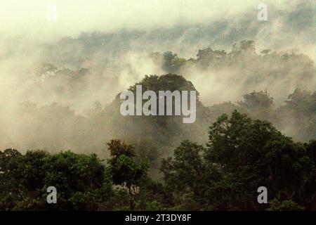 Landschaft eines Regenwaldgebietes am Fuße des Mount Tangkoko und Duasudara (Dua Saudara) in Bitung, Nord-Sulawesi, Indonesien. Ein neuer Bericht der Wildlife Conservation Society hat ergeben, dass tropische Wälder mit hoher Integrität schätzungsweise rund 3,6 Milliarden Tonnen CO2 pro Jahr (netto) aus der Atmosphäre entfernen und speichern. doch um sie zu schützen, müssen die Stakeholder die großen Fruchtfresser retten. großkörperige Wildtierarten, insbesondere Fruchtfresser wie Primaten, Nashornvögel und andere, verteilen laut den Wissenschaftlern große Samen von Baumarten mit hoher Kohlenstoffkapazität. Stockfoto