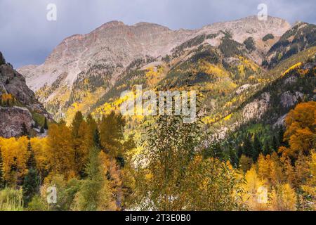 Blick von der Zugfahrt mit der Durango und der Silverton Narrow Gauge Railroad in Colorado. Historische, malerische, mit Kohle befeuerte Dampflokomotiven gezogene Züge. Stockfoto