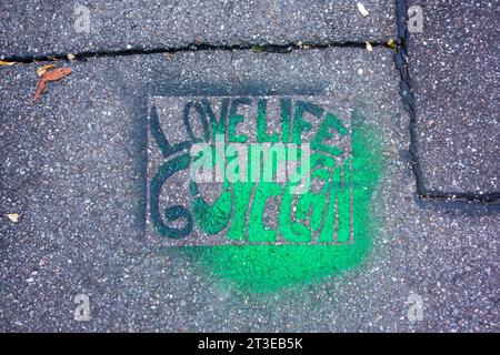 Love Life Go Vegan Graffiti gemalt auf einer Straße in Stuttgart, Deutschland Stockfoto