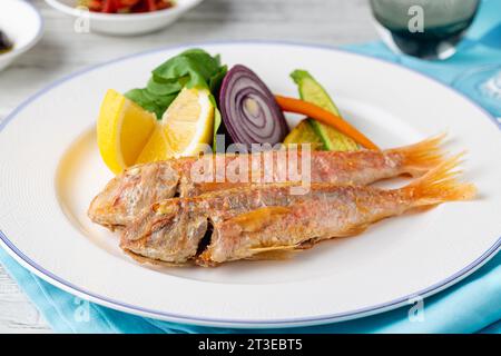 Gegrillte Meerbarbe mit Rucola und Mini-Gemüse auf einem weißen Porzellanteller Stockfoto