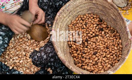 Frau, die in einer Genossenschaft Arganfrüchte herstellt, mit kleinen Steinen die Früchte aufbrechen, um die Argannuss zu finden und die Kerne zu extrahieren. Stockfoto