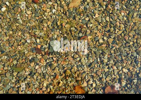 Kleine farbige Kieselsteine im Wasser im Teich. Textur Stockfoto