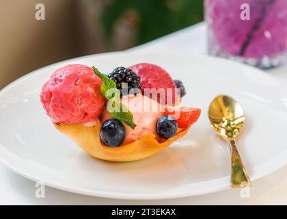 Beerensorbet mit drei Geschmacksrichtungen - Erdbeere, Himbeere, schwarze Johannisbeere. Mit Eissorbet dekoriert mit frischen Beeren und Minze. Sommereis-Konzept Stockfoto