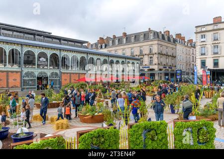 Vor den zentralen Markthallen von Limoges (Les Halles Centrales Limoges). Porzellan und Produkte in einem Gemüsegarten am Place de la Motte. Stockfoto