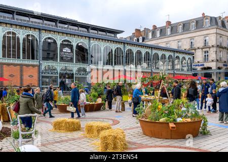 Vor den zentralen Markthallen von Limoges (Les Halles Centrales Limoges). Porzellan und Produkte in einem Gemüsegarten am Place de la Motte. Stockfoto