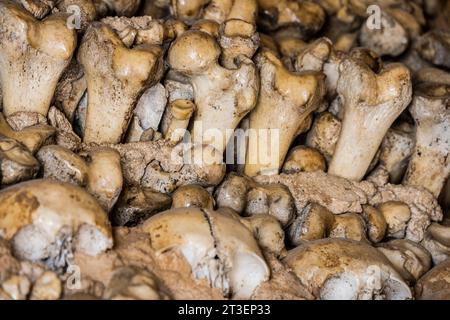 Portugal, Algarve, Alcantarilha: Die Kapelle der Knochen (Capela dos Ossos) Stockfoto