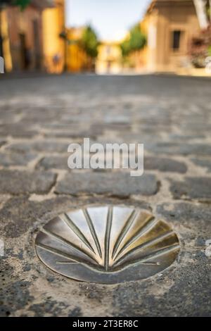 Symbol des Jakobsweges aus nächster Nähe Stockfoto