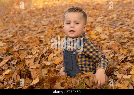 Herbstkonzept. Ein kleiner, gutaussehender und emotionaler Junge in einem karierten Hemd und Overall sitzt in den herbstgelben Blättern im Park. Weichzeichner. Stockfoto