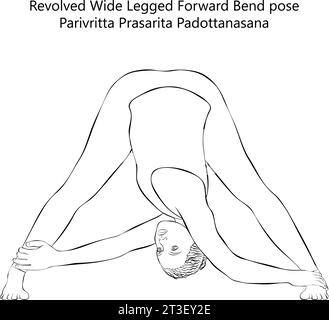 Skizze einer jungen Frau beim Yoga Parivritta Prasarita Padottanasana. Drehte, breite Beine nach vorn beugende Position. Isolierte Vektordarstellung. Stock Vektor