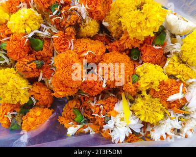 Bunte getrocknete Blumen. Flache Lagen Stockfoto