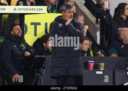 Cheftrainer von Norwich City, David Wagner - Norwich City gegen Middlesbrough, Sky Bet Championship, Carrow Road, Norwich, Großbritannien - 24. Oktober 2023 nur redaktionelle Verwendung - es gelten Einschränkungen bei DataCo Stockfoto