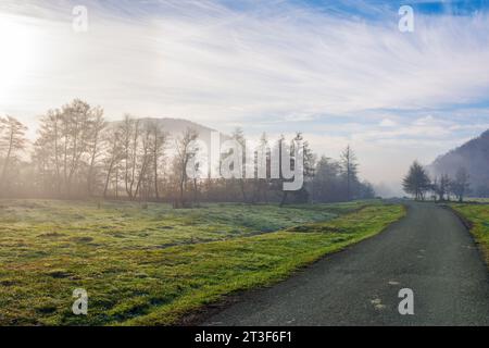 Landstraße durch ländliches Tal im Morgenlicht. Herbstliche Landschaft mit Wald im Nebel. Bewölkter Himmel Stockfoto