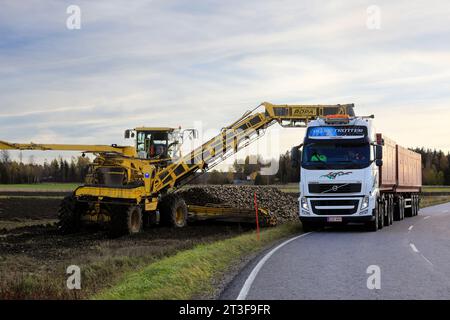 ROPA Euro-Maus-Reiniger-Lader für die Beladung neu geernteter Zuckerrüben auf Volvo FH-Lkw-Anhänger für den Transport zum Werk. Salo, Finnland. Oktober 2023. Stockfoto