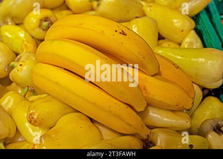 Bananen auf grünen Paprika in einer Schachtel Stockfoto