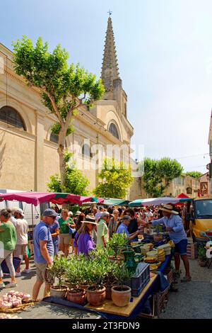 Frankreich, Bouches du Rhone, regionaler Naturpark der Alpilles, Saint Remy de Provence, Kirche St. Martin, Markttag Stockfoto