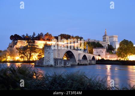 Frankreich, Vaucluse, Avignon, Saint Benezet Brücke auf der Rhone aus dem 12. Jahrhundert mit im Hintergrund Dom Der Dom aus dem 12. Jahrhundert und den Päpstlichen Palast der UNESCO Weltkulturerbe Stockfoto